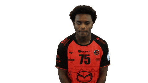 Handball Dragon Sticker by HCCA