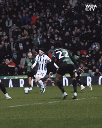 West Brom Football GIF by West Bromwich Albion