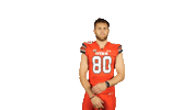 Utah Utes Sticker by Utah Football