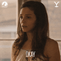 Paramount Network Ok GIF by Yellowstone
