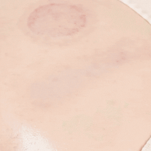 nabavkica giphyupload GIF