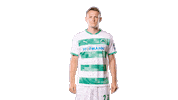 Kleeblatt Swipe Up Sticker by SpVgg Greuther Fürth