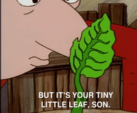 hey arnold nicksplat GIF