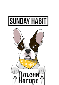 Dog Swipe Up Sticker by SUNDAY HABIT