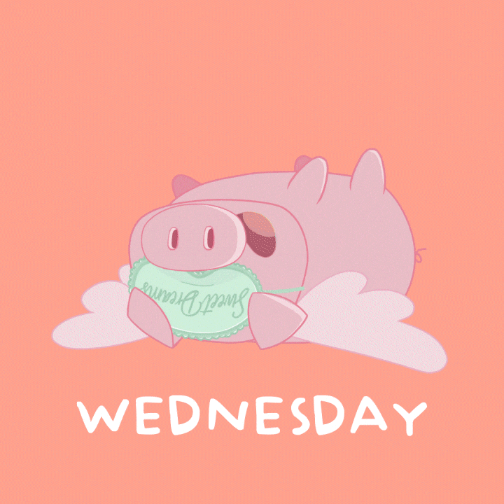 Sleepy Flying Pig GIF by PositivelyPigasus