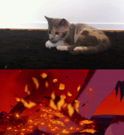 cats king GIF
