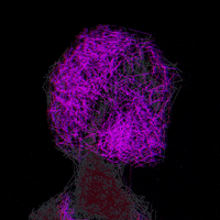 LineApeClub obscure line ape club obscure prints line apes GIF