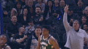GIF by NBA