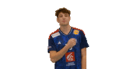 Thibaud Briet Sticker by Fédération Française de Handball