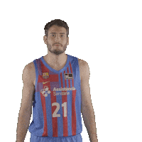 Fc Barcelona Basketball Sticker by ACB