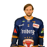 Sport Saluting Sticker by Lausitzer Füchse