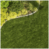 GIF by itograss