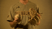 Mke GIF by Milwaukee Panthers