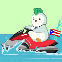 Puerto Rico Deal With It GIF by Pudgy Penguins