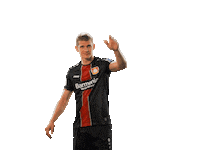 wave hello Sticker by Bayer 04 Leverkusen