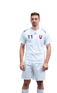 slovenskyzvazflorbalu slovakia florbal slovak floorball szfb Sticker