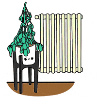 Plant Heating GIF by feey.pflanzen