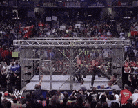 smackdown live wow GIF by WWE