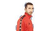 adidas soccer Sticker