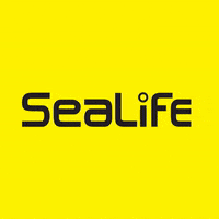 sealifecameras diving underwater cameras scubadiving GIF