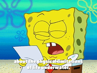 season 3 GIF by SpongeBob SquarePants