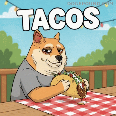 Hungry Shiba Inu GIF by Doge Pound