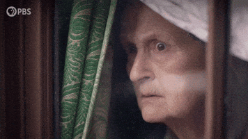 Looking Around Season 14 GIF by PBS