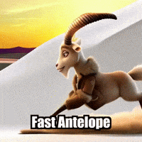 GIF by Radiantelope