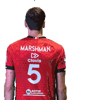 Volleyball Michael Sticker by CVB52