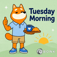 Crypto Tuesday GIF by BONK