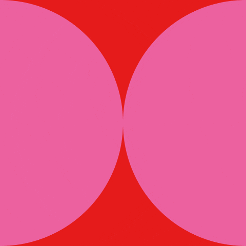 BG_Dornbirn giphyupload vorarlberg gemeinsam zusammen GIF