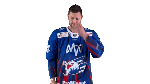 Eishockey Sticker by Adler Mannheim