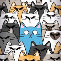 Shocked Blue Cat GIF