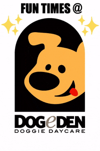 Dogeden funtimes dogdaycare doggydaycare dogeden GIF