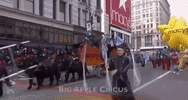 Macys Parade GIF by The 96th Macy’s Thanksgiving Day Parade
