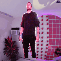 haunting miami beach GIF