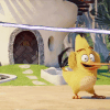 GIF by Angry Birds
