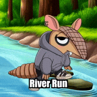 River Run GIF by Chillo Dillo
