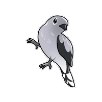 Daily Birds Sticker