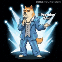 Shiba Inu Singing GIF by Doge Pound