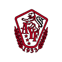 AYF-YOARF olympics youth arf armenian Sticker