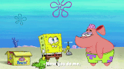 episode 1 whirly brains GIF by SpongeBob SquarePants