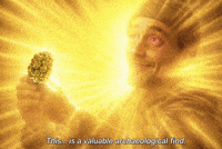 Velocikektor rare nug holy nug GIF