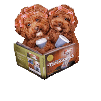 Weekend Sunday Sticker