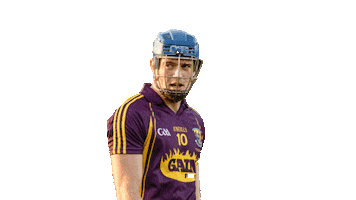 bord gais hurling Sticker by Bord Gáis Energy
