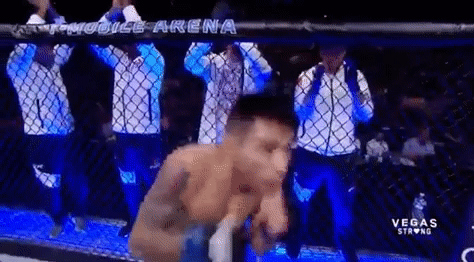 Ufc 216 Mma GIF by UFC