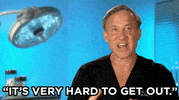 GIF by E!