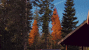 Toyota Camry GIF