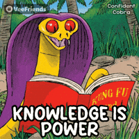 Power Inspiring GIF by VeeFriends