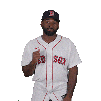 Red Sox Fist Bump Sticker by Boston Red Sox